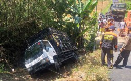 Truk Terperosok ke Sungai, 500 Ekor Ayam Potong Mati