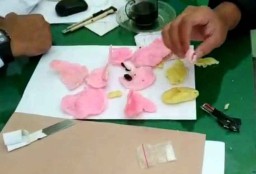 Penyelundupan Narkoba dalam Kerupuk Pasir ke Lapas Jombang Digagalkan