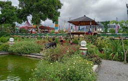 Sulap Hutan Belantara, Pemdes ini Buat Wisata Sumorobangun Flowers