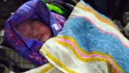 Diduga Dibuang, Bayi Perempuan dengan Ari-ari Ditemukan di Teras Rumah