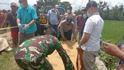 Perbaiki Jebakan Tikus, Petani ini Tewas Tersengat Listrik
