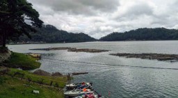 Libur Akhir Tahun, Ponorogo Batasi Wisatawan hingga Larang Event