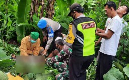Pria ini Tewas Tersengat Listrik dan Jatuh dari Pohon Setinggi 5 Meter