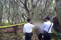 Pria ini Ditemukan Tewas Gantung Diri di Pohon Kamboja dalam Kuburan