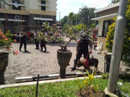 Pasca Bom Makassar, Polisi Libatkan Anjing Pelacak Amankan Gereja di Surabaya