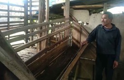 Puluhan Ekor Kambing Hilang Misterius, Warga Kota Batu Resah
