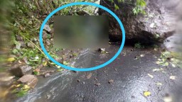 Gempa Malang, Pemotor Tewas dan 1 Luka Tertimpa Batu Bukit Piket Nol Lumajang
