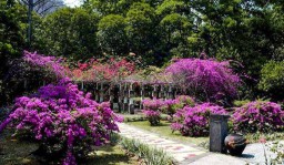 5 Spot di Kebun Raya Purwodadi, Instagramable Juga Edukatif Bagi Wisatawan