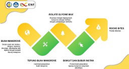 5 Mahasiswa ITS Buat MPASI Berbahan Dasar Buah Mangrove