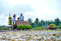 Terapkan Metode Agro Solution, Produktivitas Pertanian Banyuwangi Diharap Naik