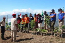 Pemuda Muhammadiyah Tanam Ribuan Pohon Secara Serentak di Jatim