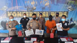 Penyelundupan Puluhan Ribu Ekor Benur dari Trenggalek ke Solo Digagalkan