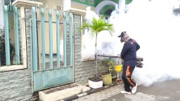 7 Warga di Sooko, Mojokerto Dilaporkan Terjangkit Chikungunya