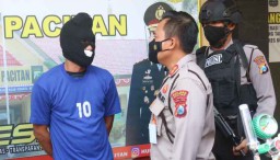 Jual Ratusan Benur Lobster ke Tengkulak Banyuwangi, Nelayan Pacitan Diamankan
