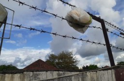 Ganja 1,2 Kilogram Ditemukan Nyangkut di Kawat Berduri Lapas Kelas I Surabaya
