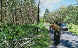 Tertimpa Pohon Lapuk saat Membonceng Rekannya, Siswa SMA di Ponorogo Tewas