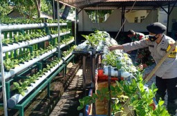Bantu Warga yang Isoman, Polisi-TNI Bagikan Sayur Hidroponik dan Lele