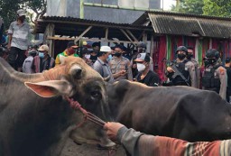 Satgas Covid-19 Bergerak ke Pasar Hewan Probolinggo, 3 Orang Positif