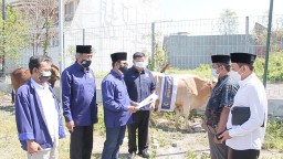 NasDem BerKurban, Bagikan Puluhan Ekor Sapi ke 49 Ponpes di Jawa Timur