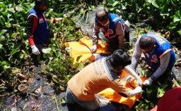 Mayat Pria Penuh Belatung Ditemukan dalam Tumpukan Eceng Gondok di Mojokerto
