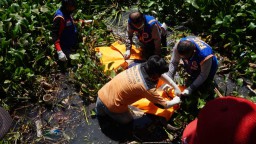 Pilihan Pembaca: Temuan Mayat Berbelatung hingga Warga Terima Daging Ayam Busuk