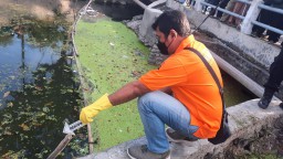 Mayat Bayi Perempuan Ditemukan Mengapung di Sungai Menur Surabaya
