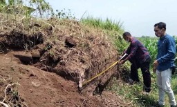 Struktur Batu Bata Kuno Diduga Candi Ditemukan di Gundukan Tanah Mojokerto