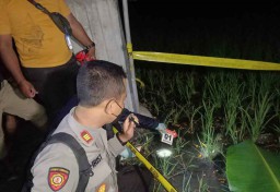 Pensiunan PNS di Ngawi Tewas Tersengat Listrik Jebakan Tikus yang Dipasangnya