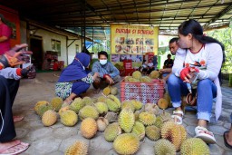 Panen, Durian Boneng hingga Mentega asal Banyuwangi Diburu Pembeli
