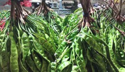 Datangkan Langsung dari Petani, Petai Segar Tersedia di PIOS