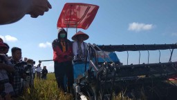 BUMN Digandeng untuk Serap Gabah Petani di 7 Daerah di Jatim