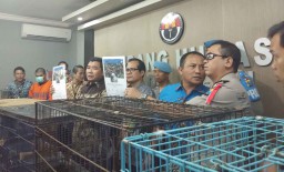 Polda Jatim Ringkus Sindikat Perdagangan Satwa Dilindungi