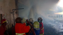 Pabrik Egg Tray di Blitar Ludes Terbakar