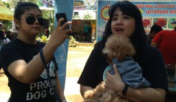 Memelihara Iguana Diyakini Bisa Menghilangkan Stres, Mau Coba? 