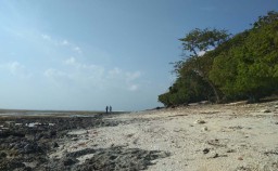 Unik, Pantai di Banyuwangi ini Berpasir 'Gotri'