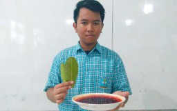 Siswa ini Manfaatkan Daun Jambu untuk Cegah Balita Stunting