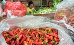 Harga Cabai di Jawa Timur Semakin 'Pedas'
