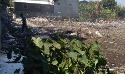 Miris, Rawa-rawa di Probolinggo ini Dibuangi Sampah Selama 20 Tahun