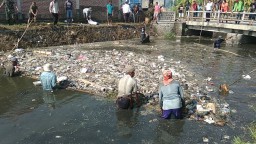 Warga Bersihkan Sungai Tercemar Diduga Usus Ayam di Mojokerto