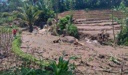 Selain 3 Jembatan Putus, Banjir Lumpur Juga Rusakkan Enam Hektar Sawah