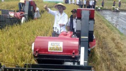 Menteri Pertanian Pastikan Stok Bawang Putih Masih Aman