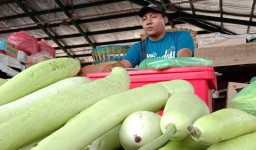 Jualan Sayur Segar di PIOS, Ekonomi Keluarga Kusdianto Meningkat