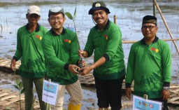 Jaga Kelestarian Lingkungan di Gresik, Ribuan Bibit Mangrove Ditanam