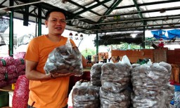 4 Jenis Kluwek yang Bisa Dijumpai di Pasar Induk Osowilangun Surabaya