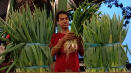 Harga Bawang Bombai Tinggi, Penjualan Daun Prei di PIOS Melonjak