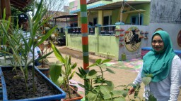 Melihat Budidaya Empon-empon di Kampung Sehat Kota Probolinggo