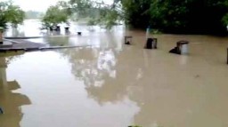 Kali Lamong Meluap, Rumah hingga Sawah di Gresik Terendam Banjir