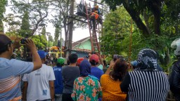 Pria ini Tewas Tersetrum saat Perbaiki Gardu Listrik Setinggi 7 Meter