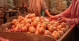 Harga Bawang Bombai di PIOS Turun, Pengusaha Kuliner Kembali Tersenyum
