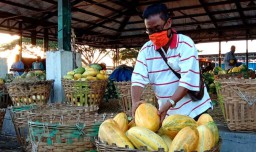 Timun Mas di PIOS Terjual 7,5 Ton Per Hari Selama Ramadan
